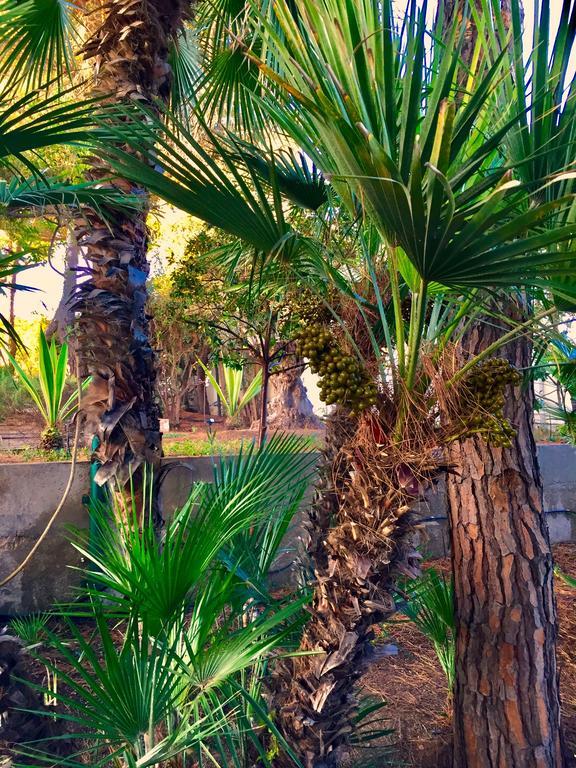 Villa Le Due Pigne (Adults Only) Taranto Exterior foto